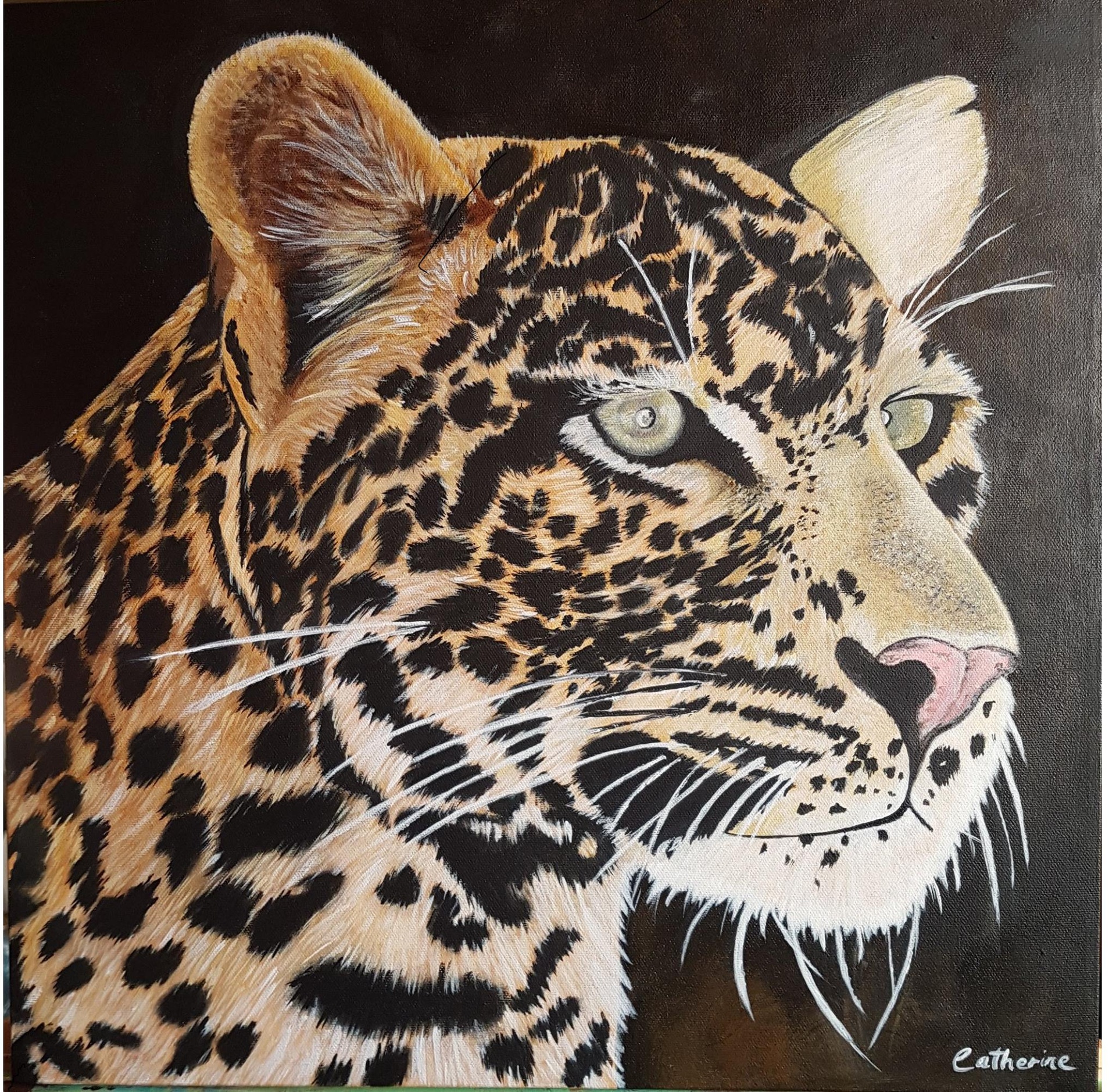 Luna Leopard