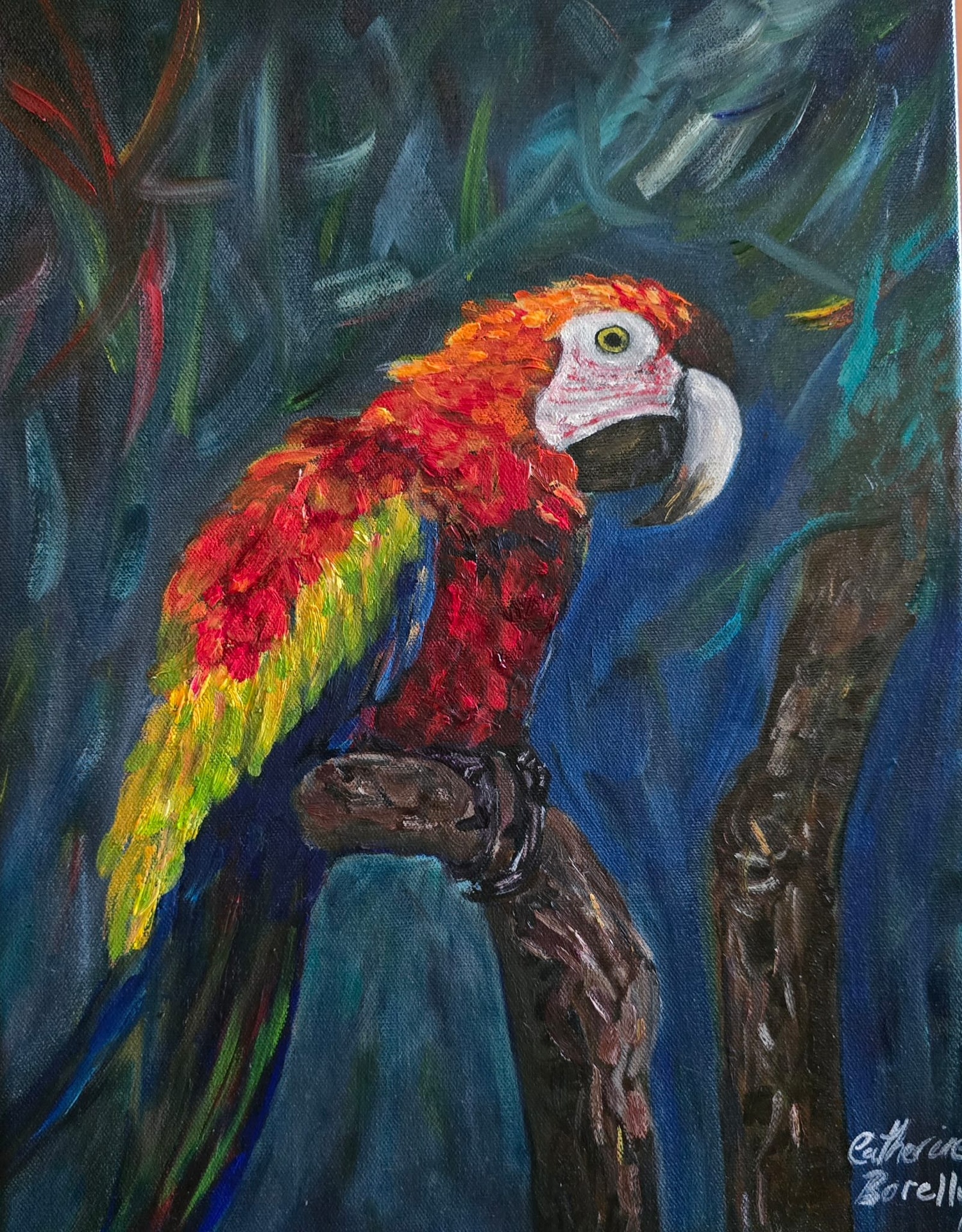 Scarlet Macaw